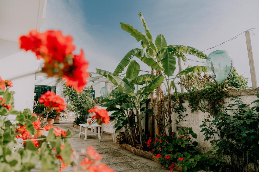 Masseria Agriturismo Il Sorriso Degli Ulivi – Dimora di Charme — Gallipoli